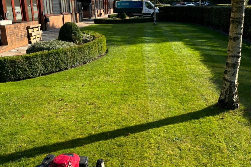 Garden Maintenance